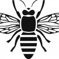 logo van Bee Seen of Bee Sports hardloop verlichting