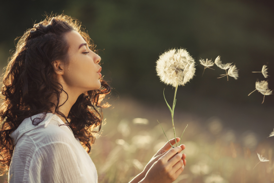 Pluisjes wegblazen na regressie sessie Den Haag
