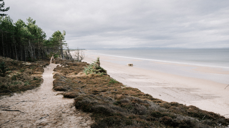 Boswandelingen-Moray-roseisle