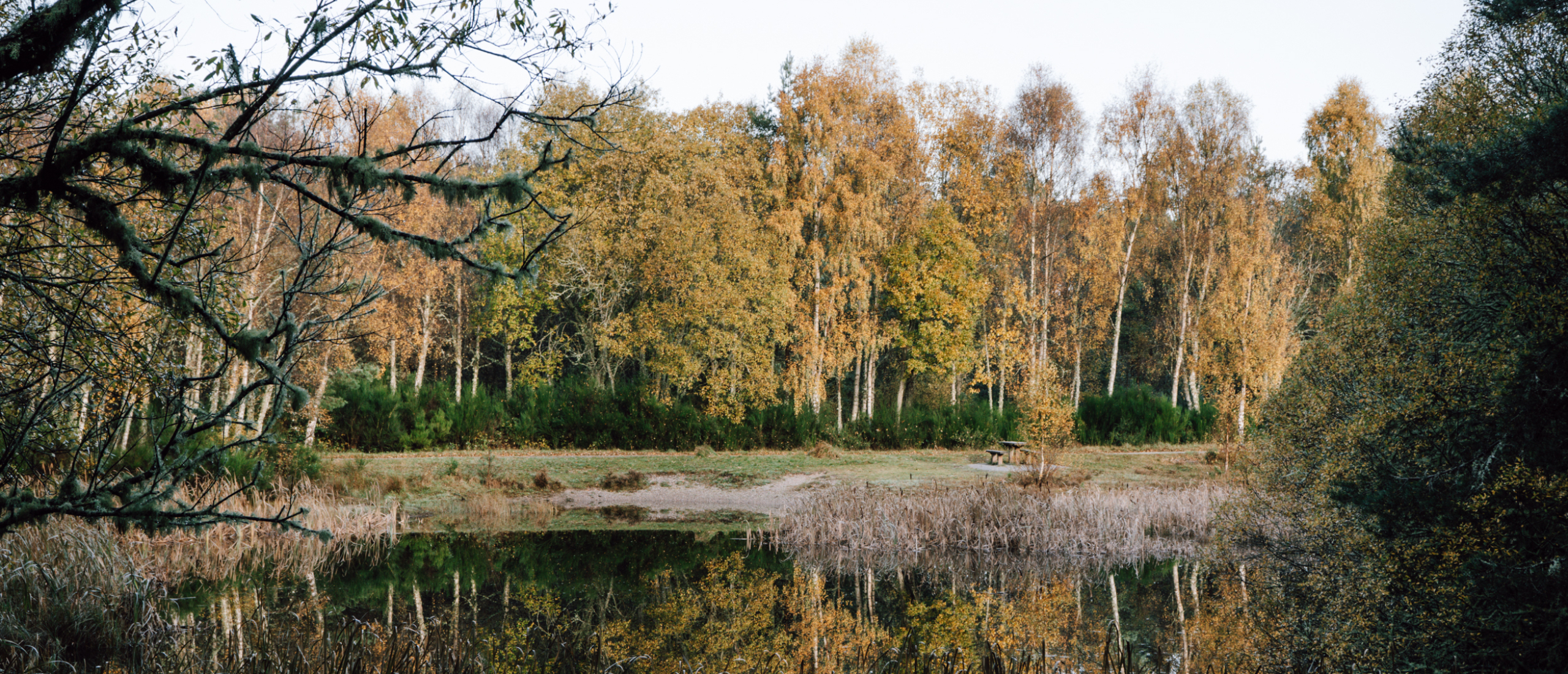 Herfstwandelen in Schotland: 5 locaties