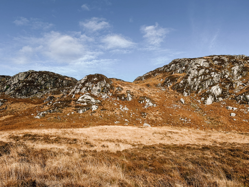 Galloway Forest Park galloway-forest-park