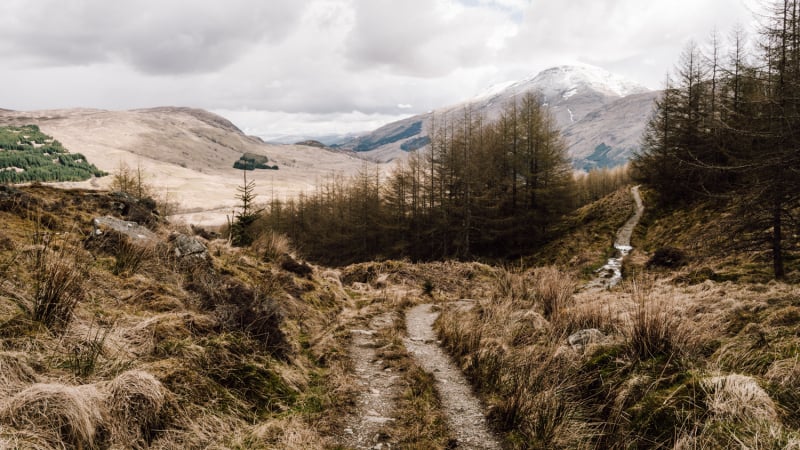 hond-mee-west-highland-way