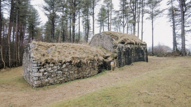 icehouse-trail-tentsmuir-forest