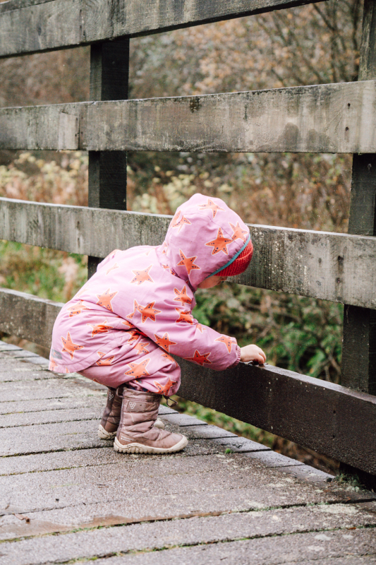 Boswandelen nabij Landal Barnsoul landal-barnsoul-boswandelen