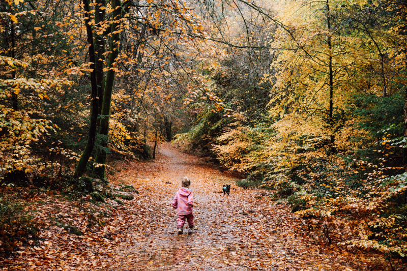 Dalbeattie Forest landal-barnsoul-dalbeattie