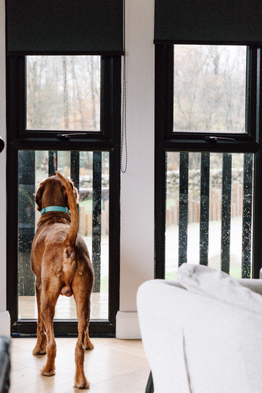 Landal Barnsoul met hond landal-barnsoul-met-hond