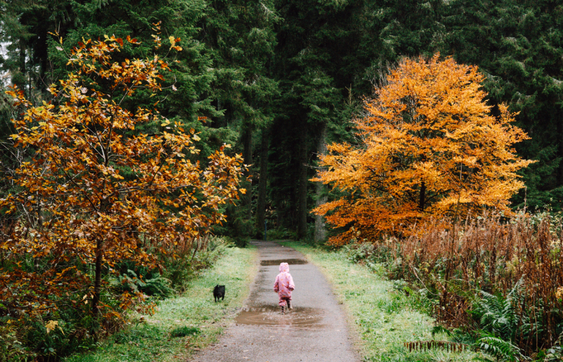 Vakantie bij Landal Barnsoul in Schotland landal-barnsoul-schotland-vakantie
