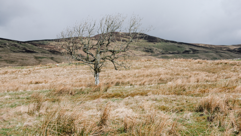 overnachten-langs-west-highland-way