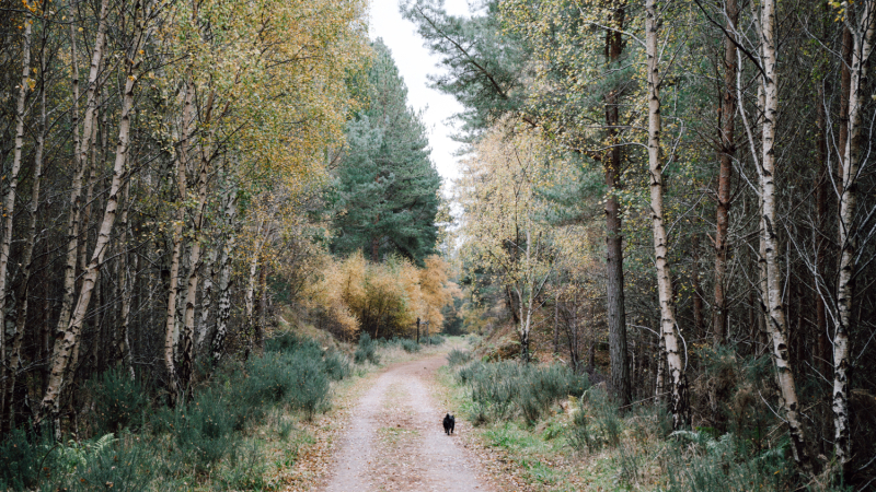 roseisle-wandelen-kust-moray