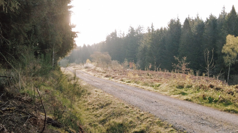 wandelen-aberfoyle