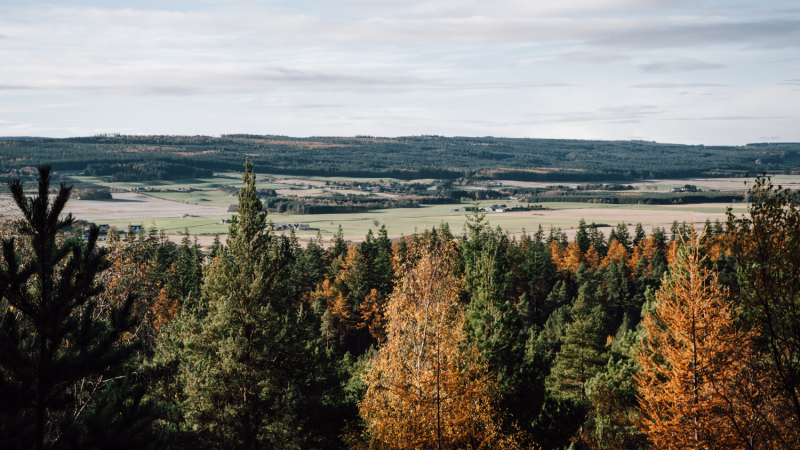 paspoort-regels-schotland