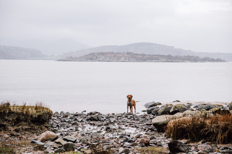 Solway coast solway-coast