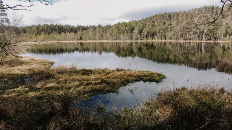 moray-way-speyside