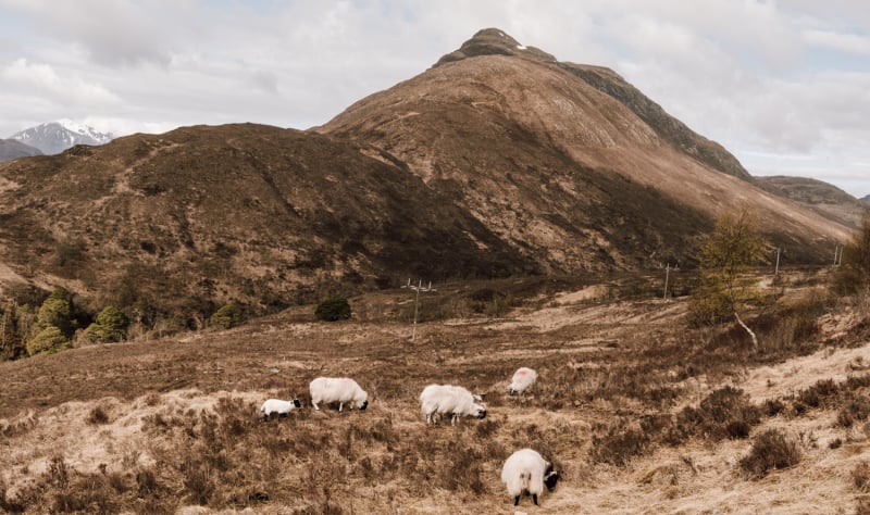 tips-west-highland-way