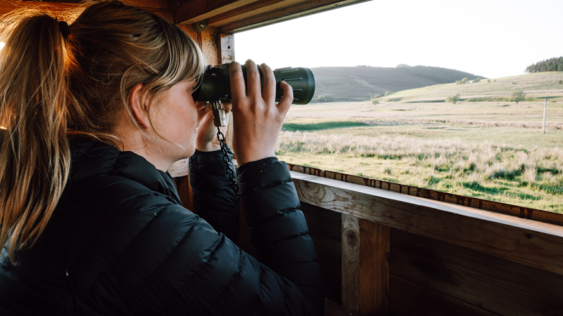 tomintoul-natuur-roadtrip-cairngorms