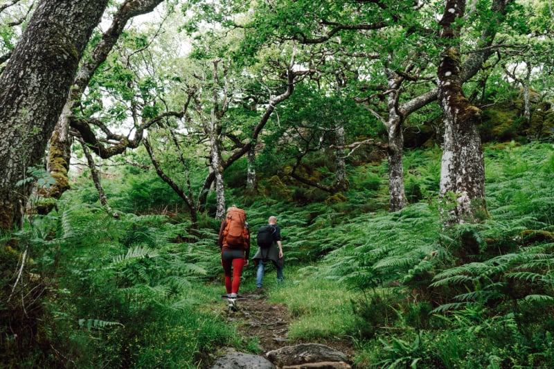 wandelen-glenborrodale-natuurreservaat