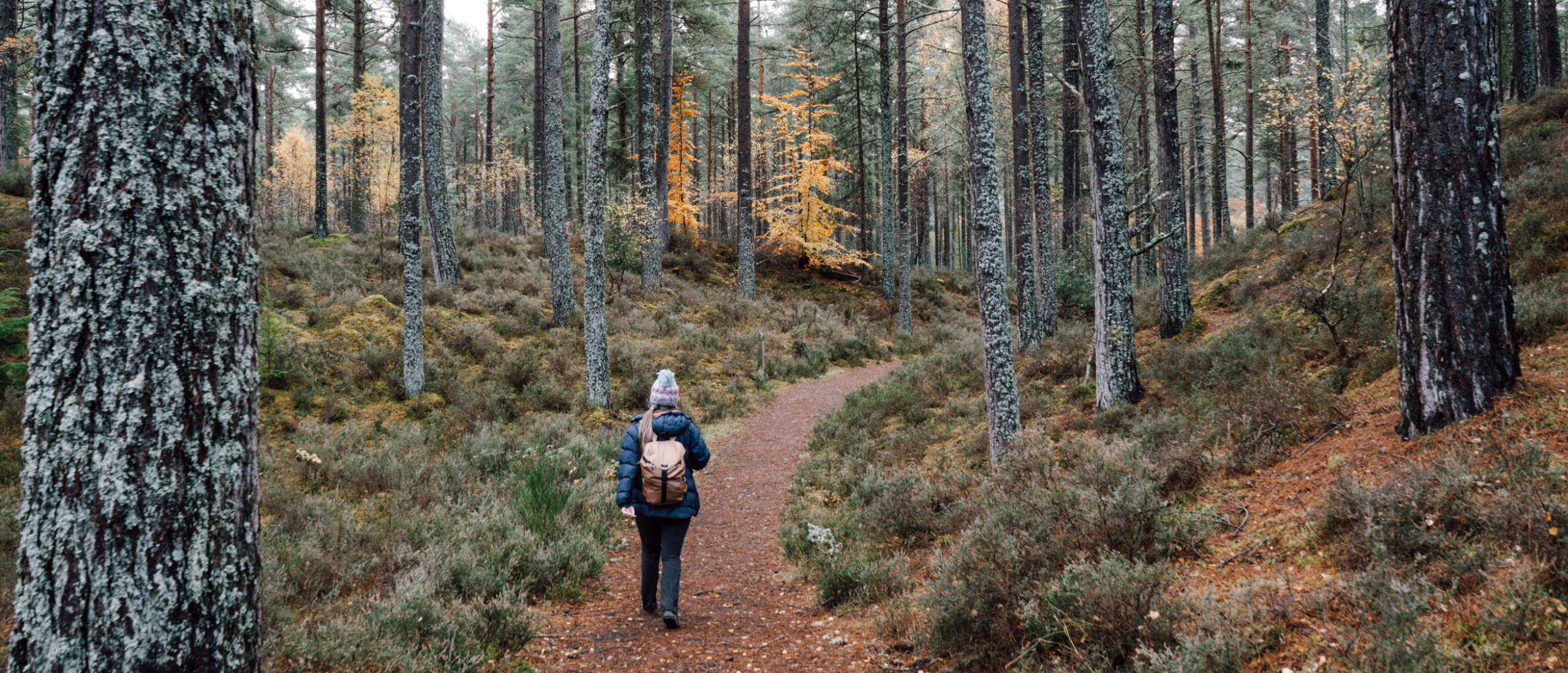 Wandelen in Culbin forest (nabij Nairn)