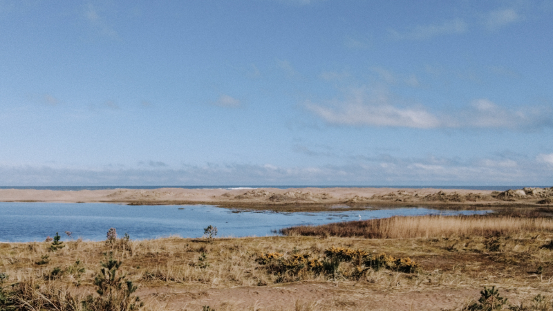 wandelen-langs-kust-fife