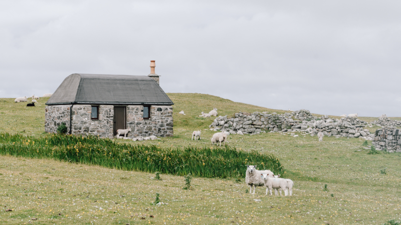 zeilen-wandelen-tiree