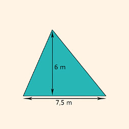 oppervlakte driehoek berekenen