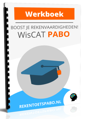 wiscat werkboek