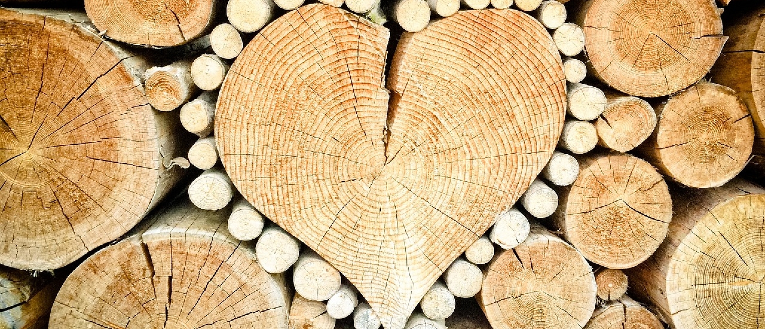 Hart in het hout