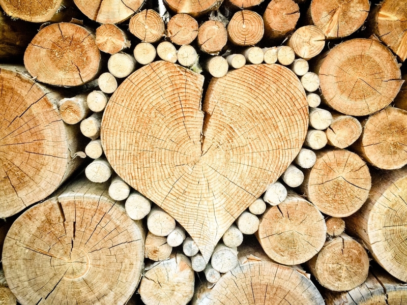 Hart in het hout