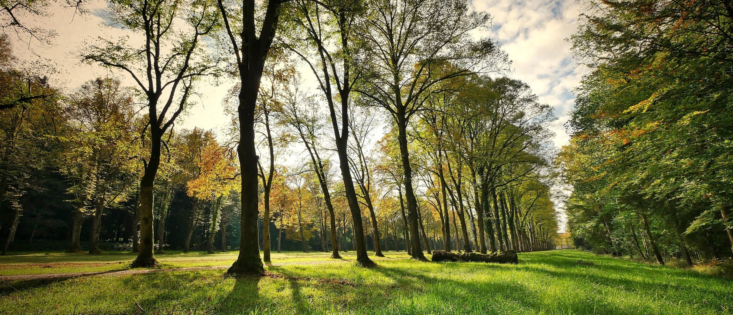 Wij een Leercase, jij een participatieaanpak