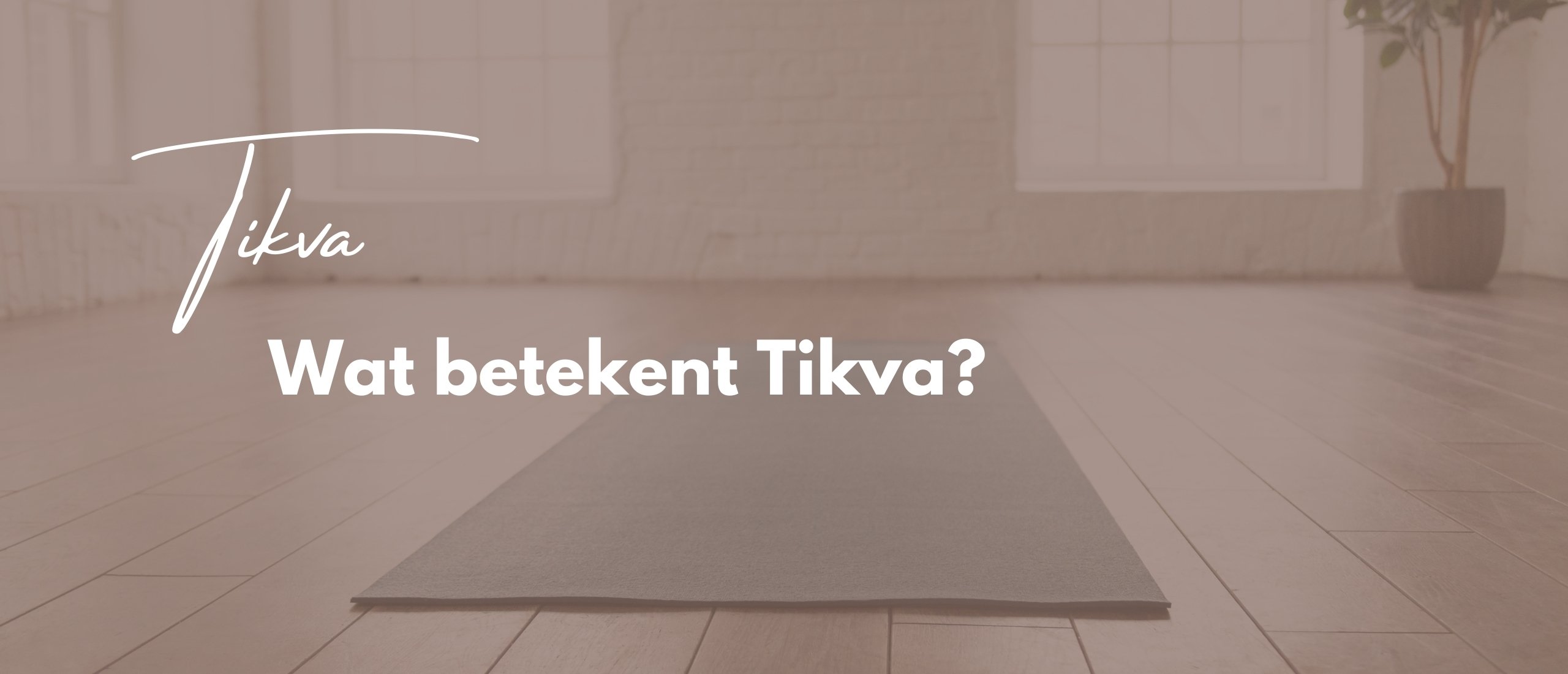 Wat betekent Tikva? RenskeFeenstra.nl