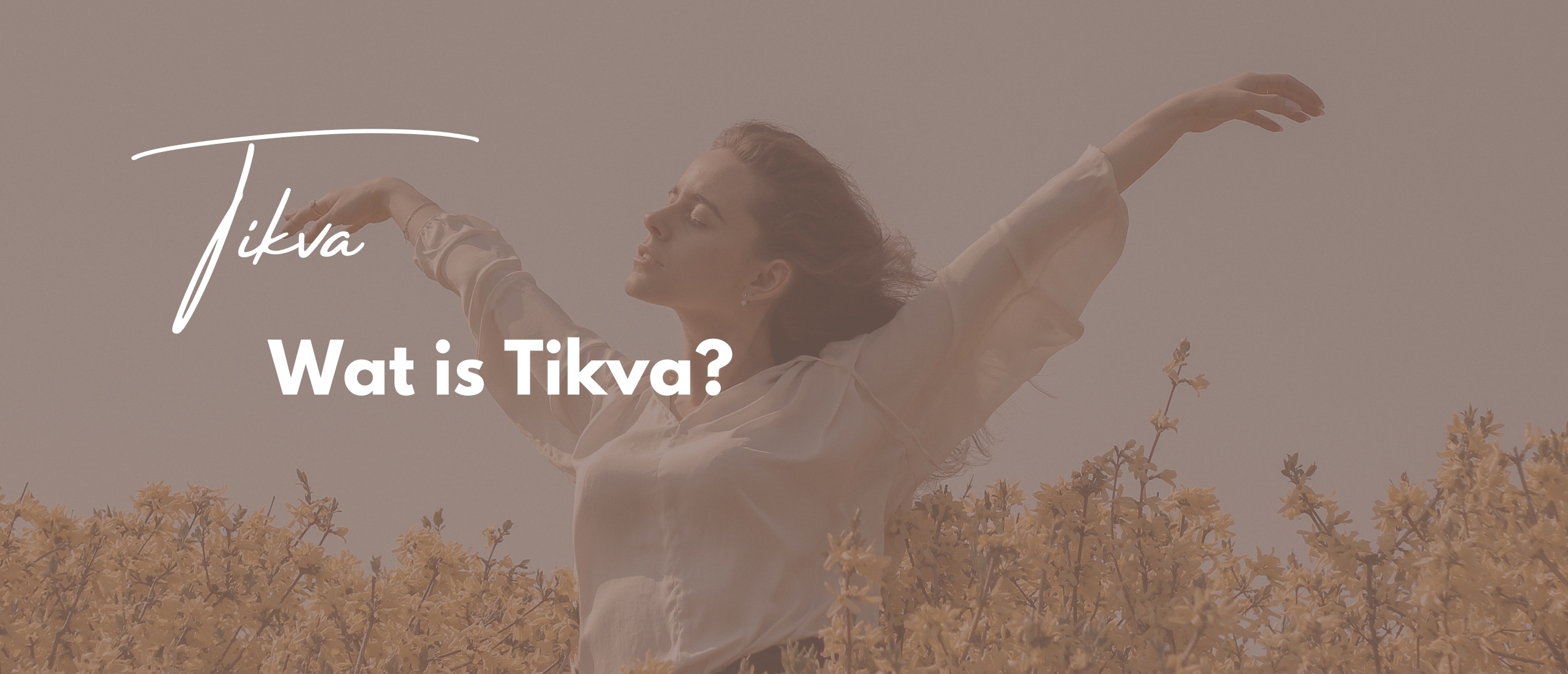 Wat is Tikva?