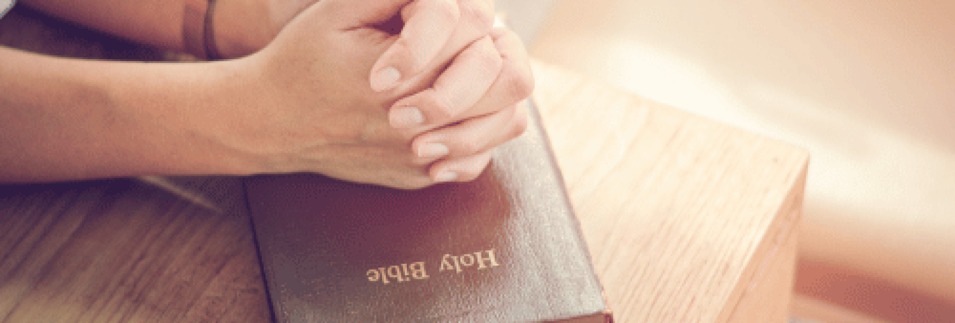 Studio Restore - coaching Studio Restore - coaching