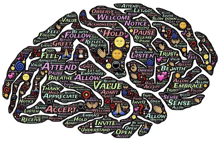Conversie optimalisatie cursus review - brain-min