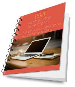 Mindfulness voor het dagelijkse leven review - cursus cover 2