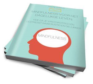 Mindfulness voor het dagelijkse leven review - cursus cover