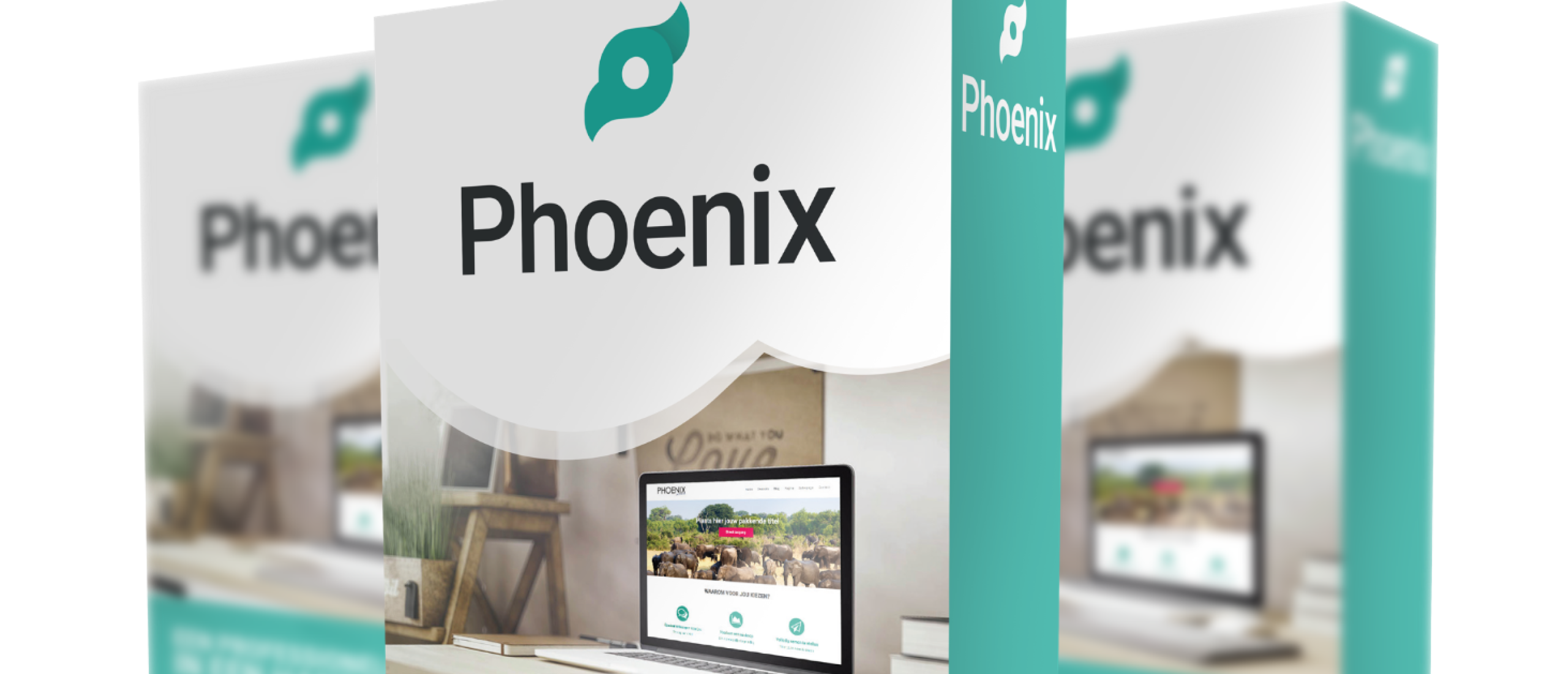 Phoenix Software Review