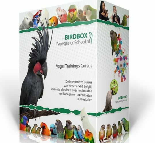 birdbox pakketten prijzen