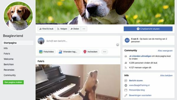 facebook-recensie-beagle-geheimen-