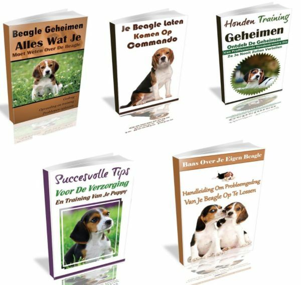 inhoud-beagle-geheimen-boek