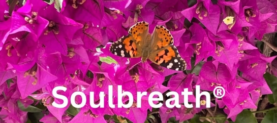 conscious breath work with Erno conscioous breath work with Erno