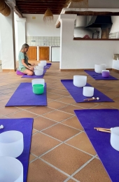 crystal singing bowl combinations sound healing teacher training