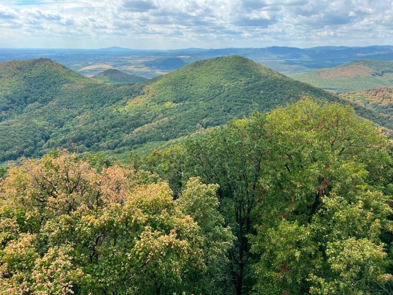 hungary forest bathing and sound bath