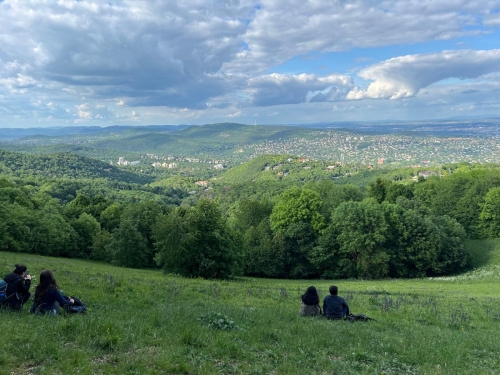 outdoor sound healing session in nature Hungary