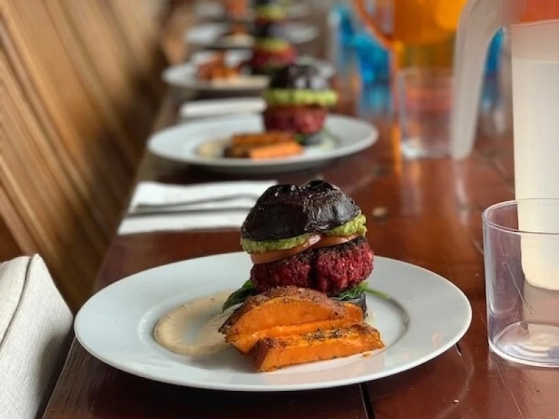 vegan dinner sound healing training Hungary vegan dinner sound healing training Hungary