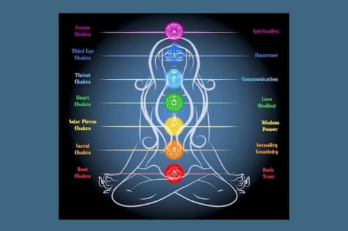 yin flow yoga training