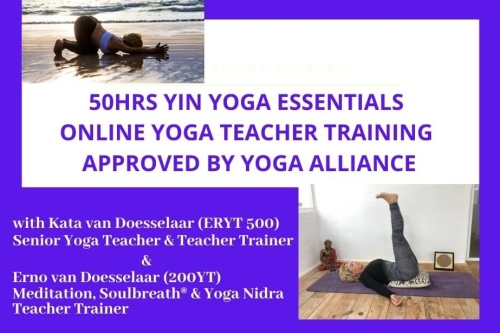 yin yoga teacher training online