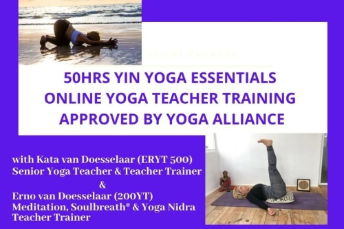 yin yoga teacher training online