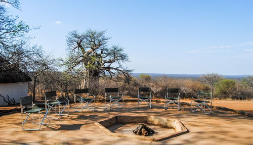 baobab at Zingela