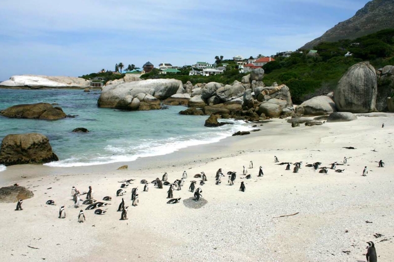 boulders beach Kaapstad