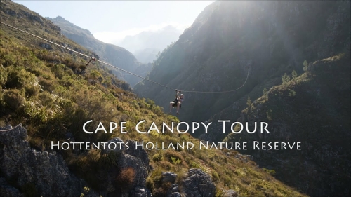 cape-canopy-tour