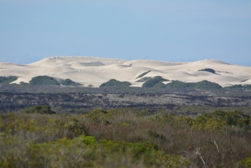 de hoop
